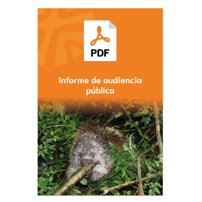 Informe de audiencia — Decreto 4002 de 2004