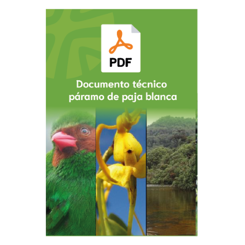 Documento Tecnico Páramo de Paja Blanca 1