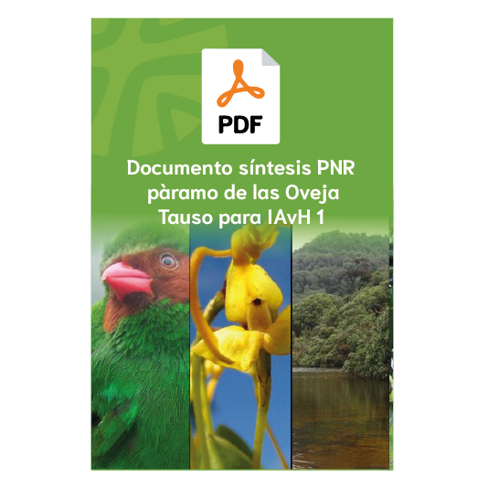 Documento Sintesis PNR pàramo de las Oveja Tauso para IAvH 1