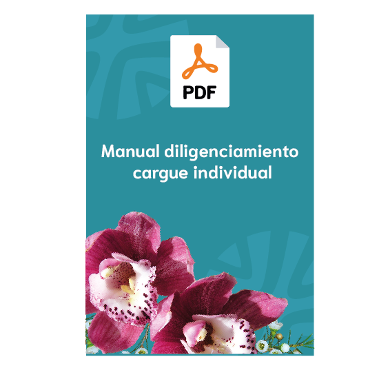 Manual de diligenciamiento y cargue individual PCB