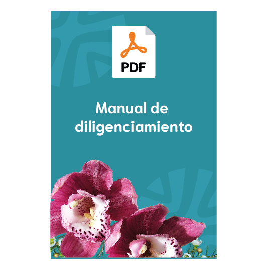 Manual de diligenciamiento web