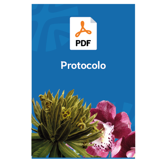 Protocolo RUA manufacturero