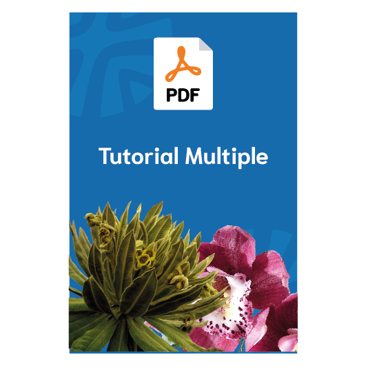 Tutorial multimedia