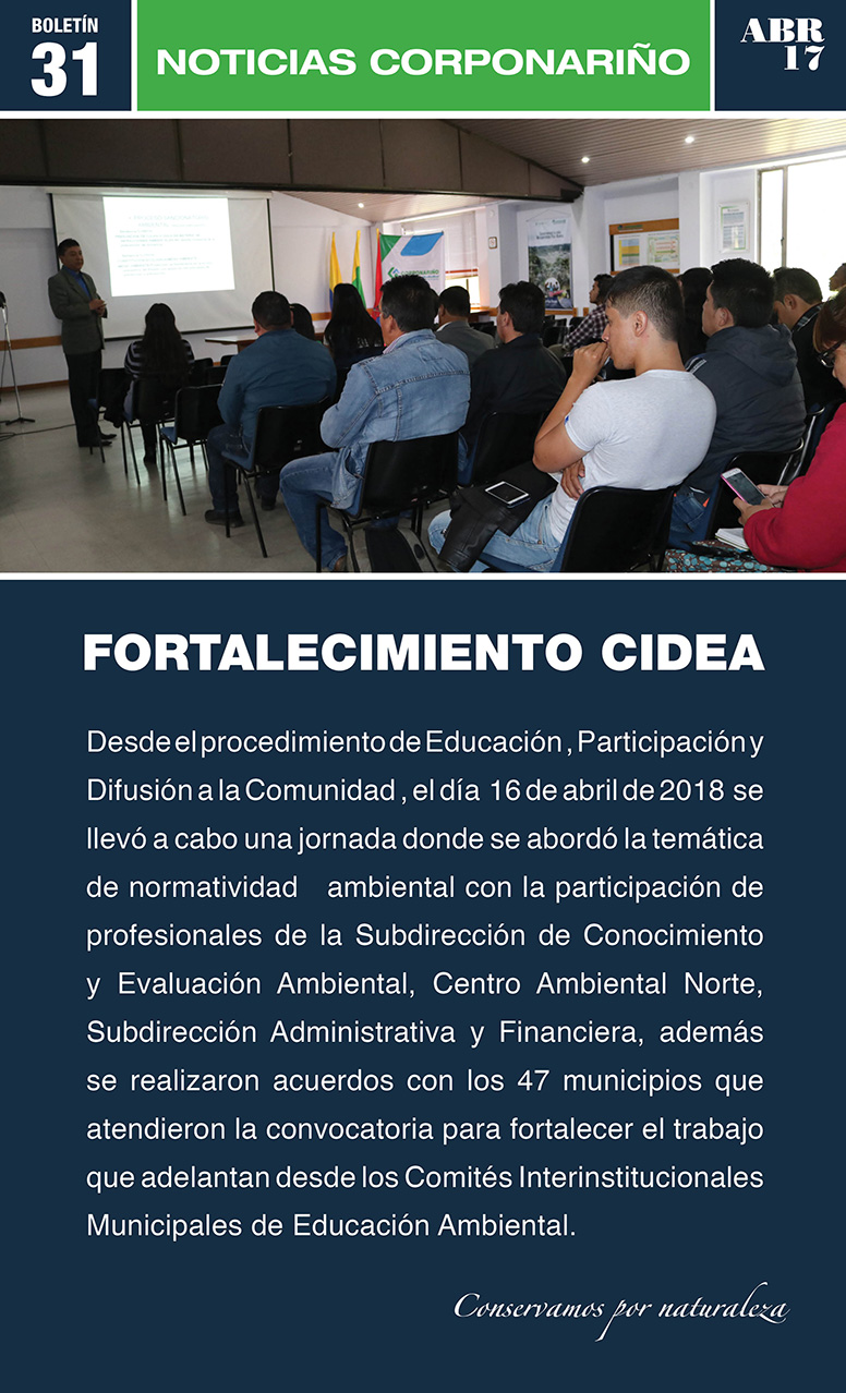 2018 Boletín 31