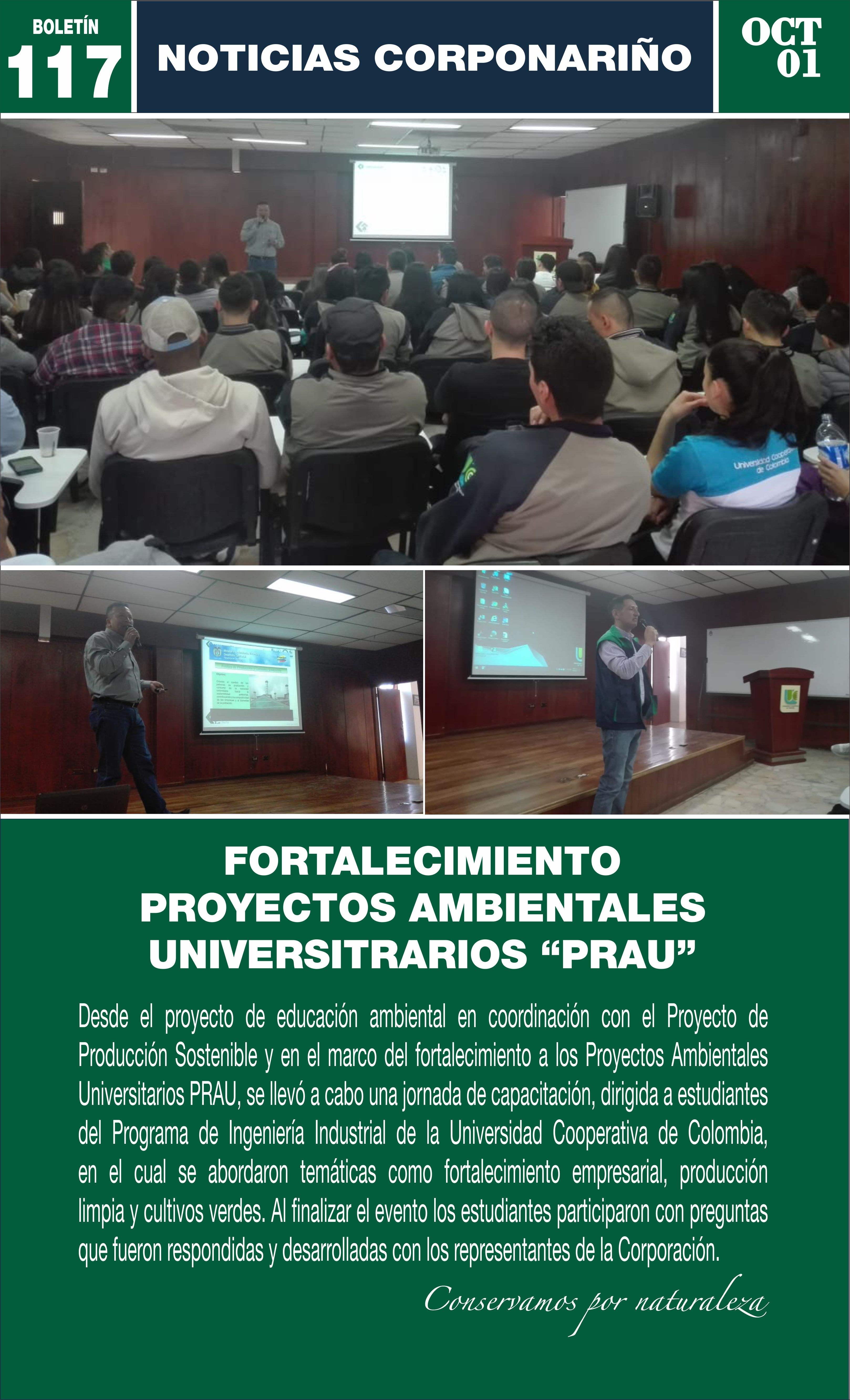 Boletín 117