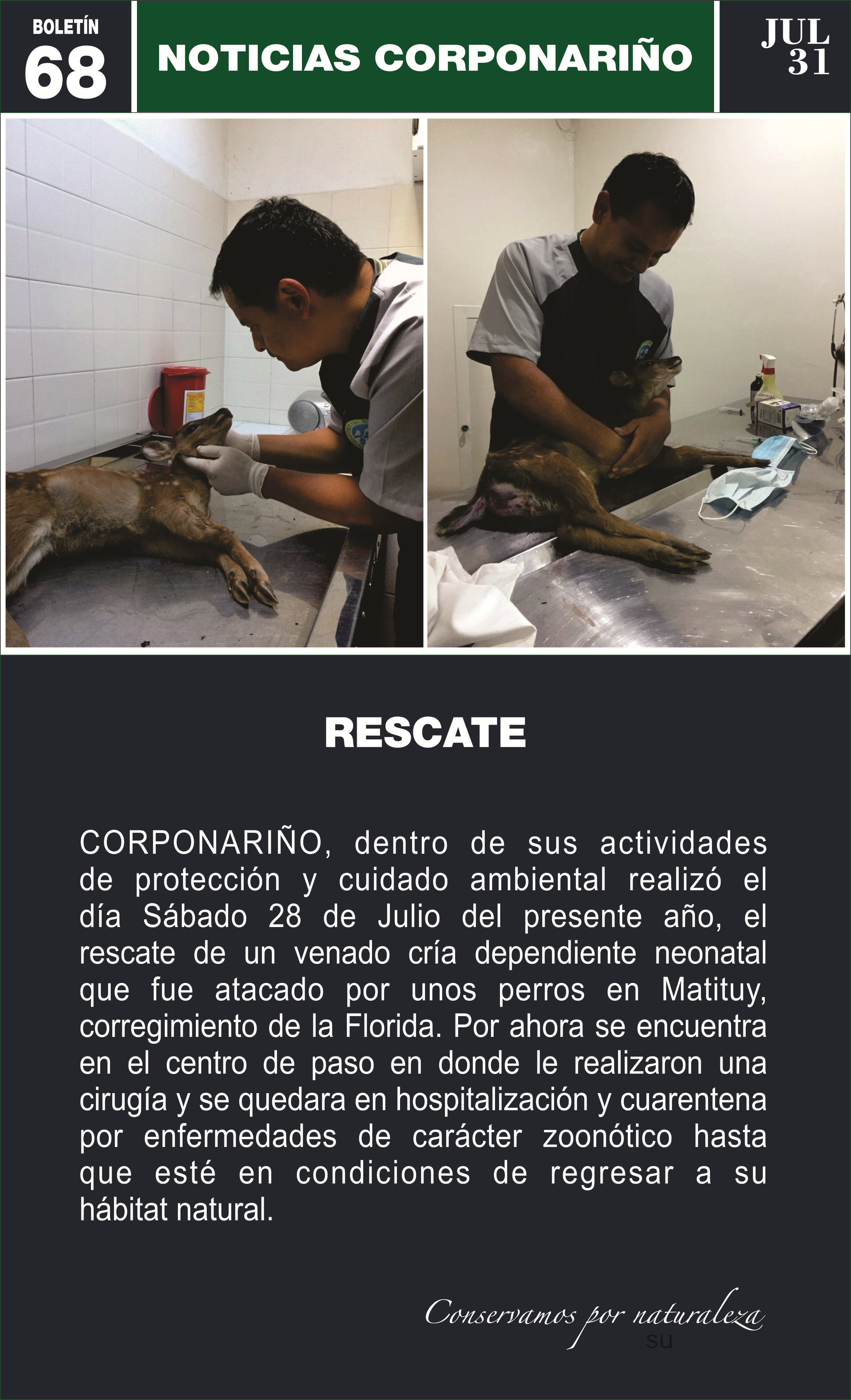 Boletín 68