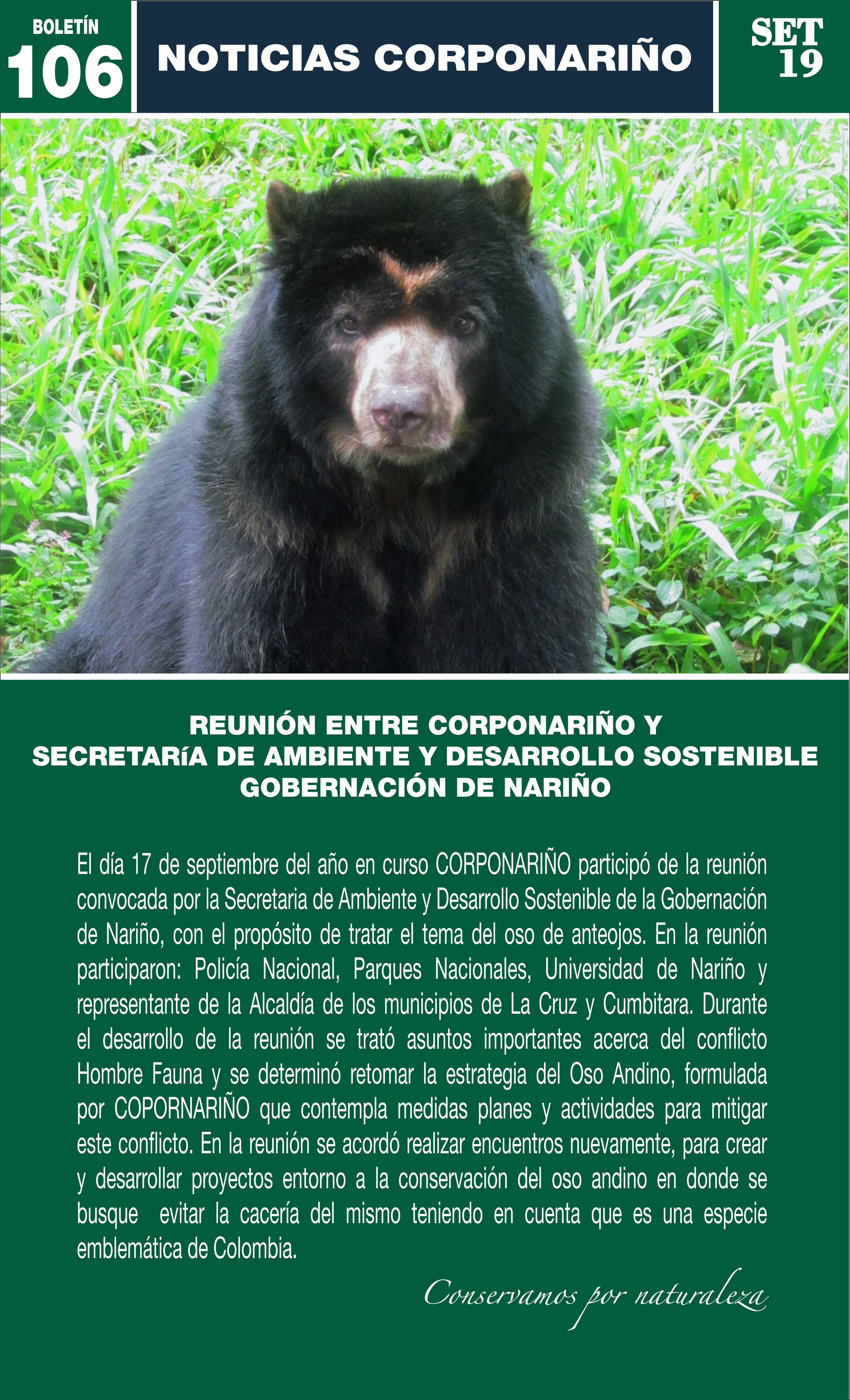 Boletín 106