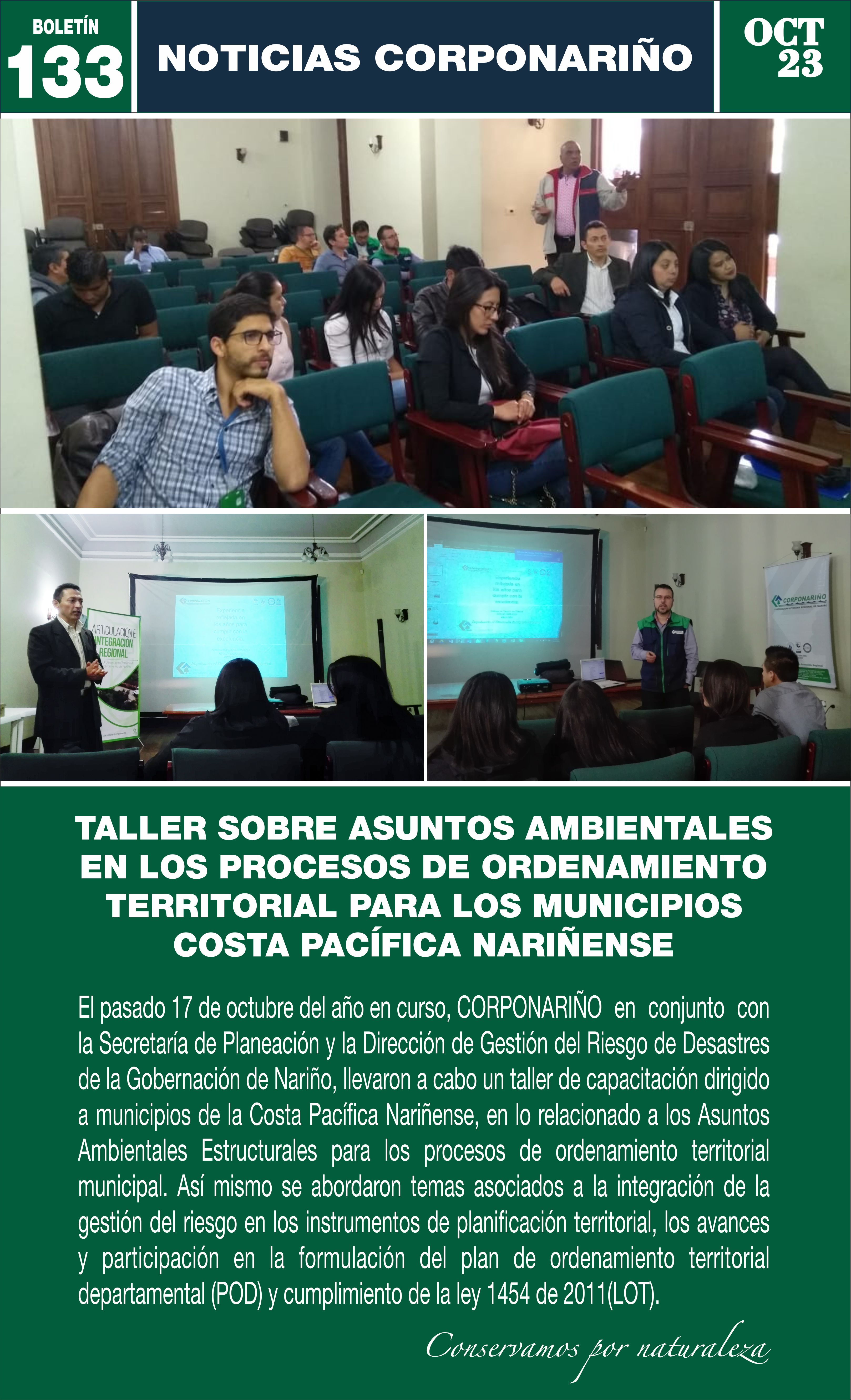 Boletín 133