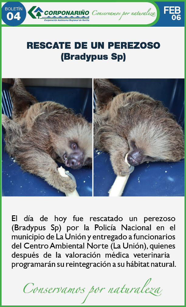Boletín 04