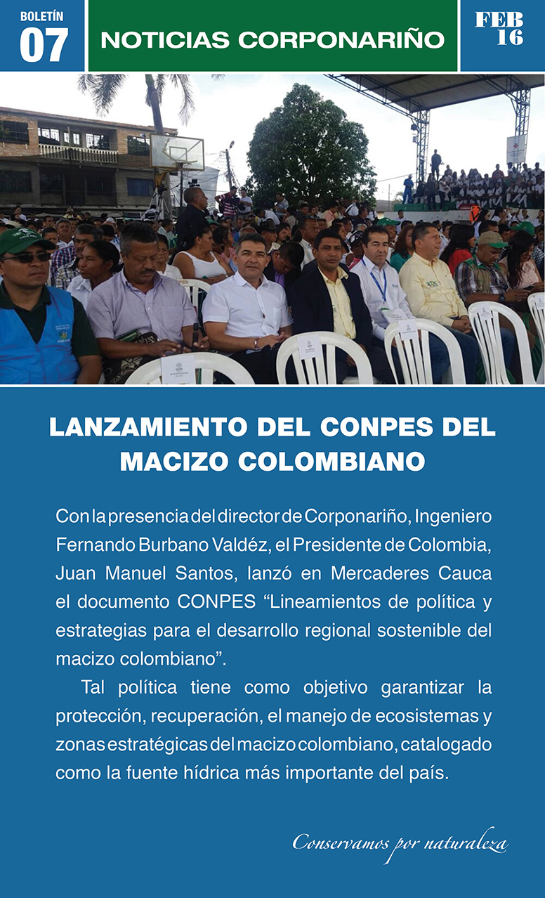 Boletín 07 2018
