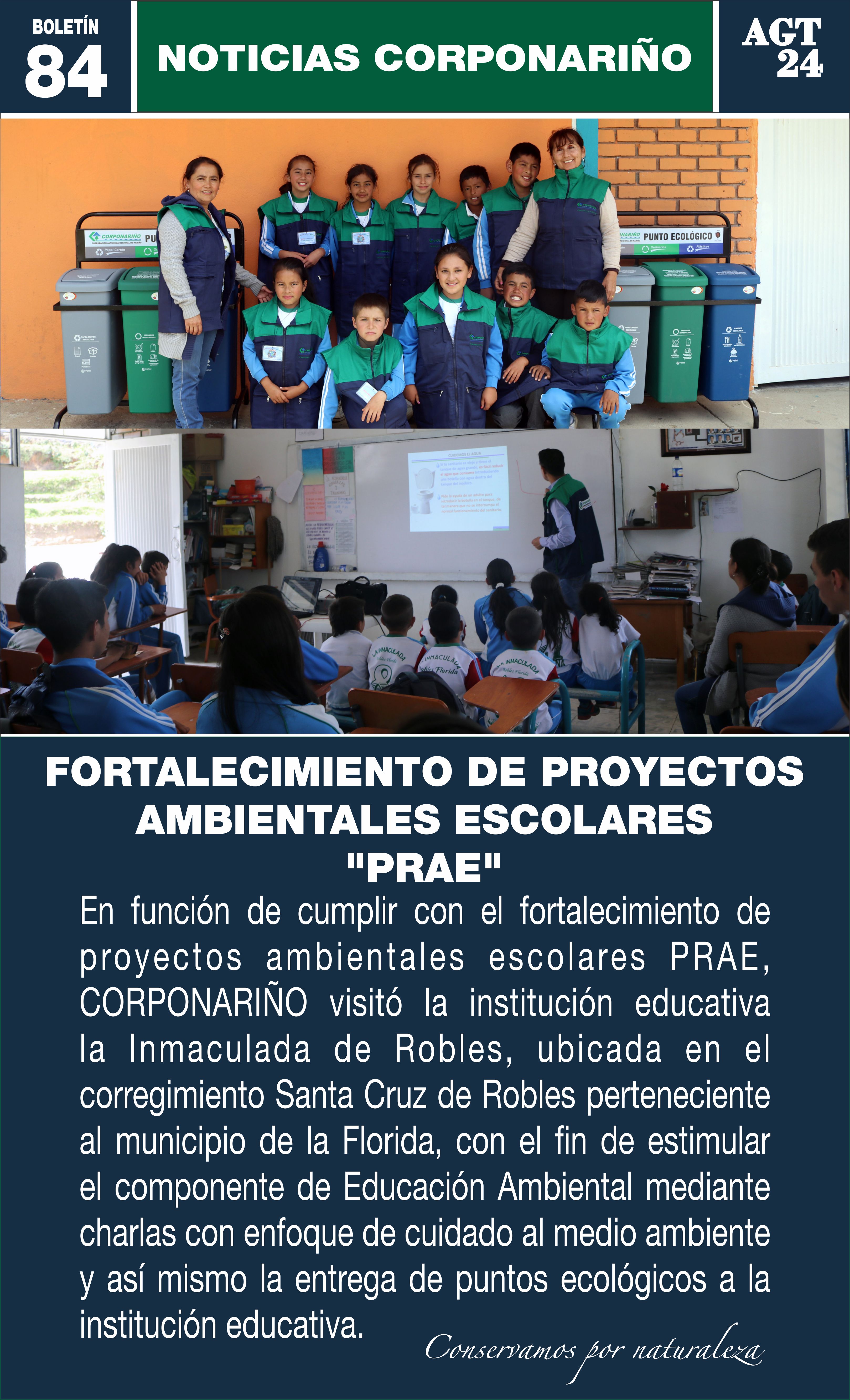 Boletín 84