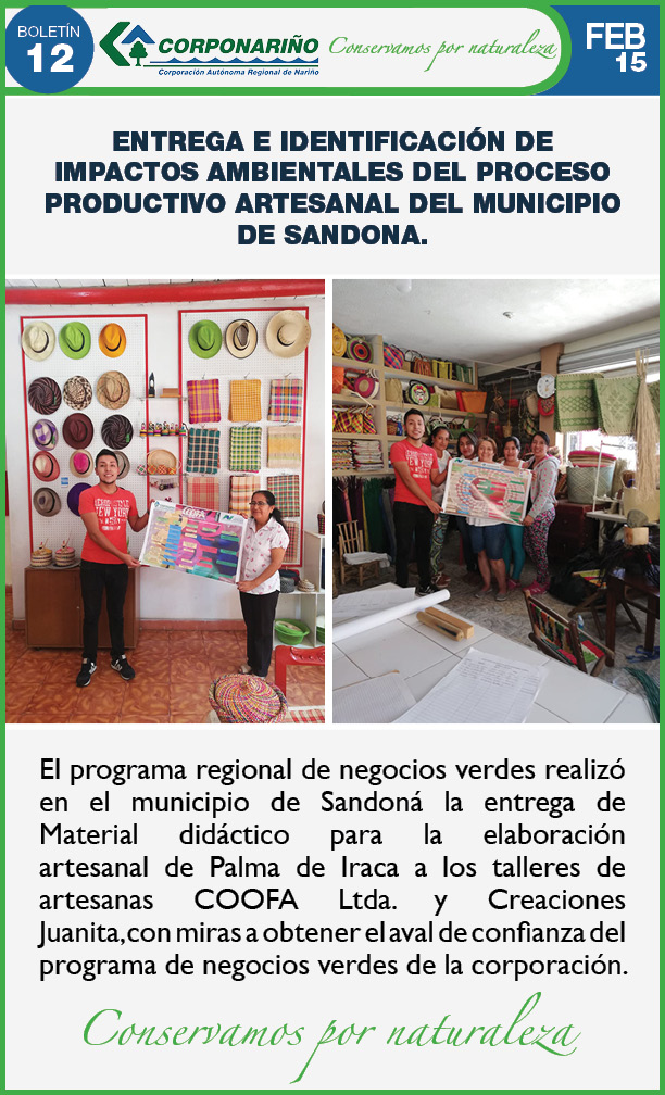 Boletín 12