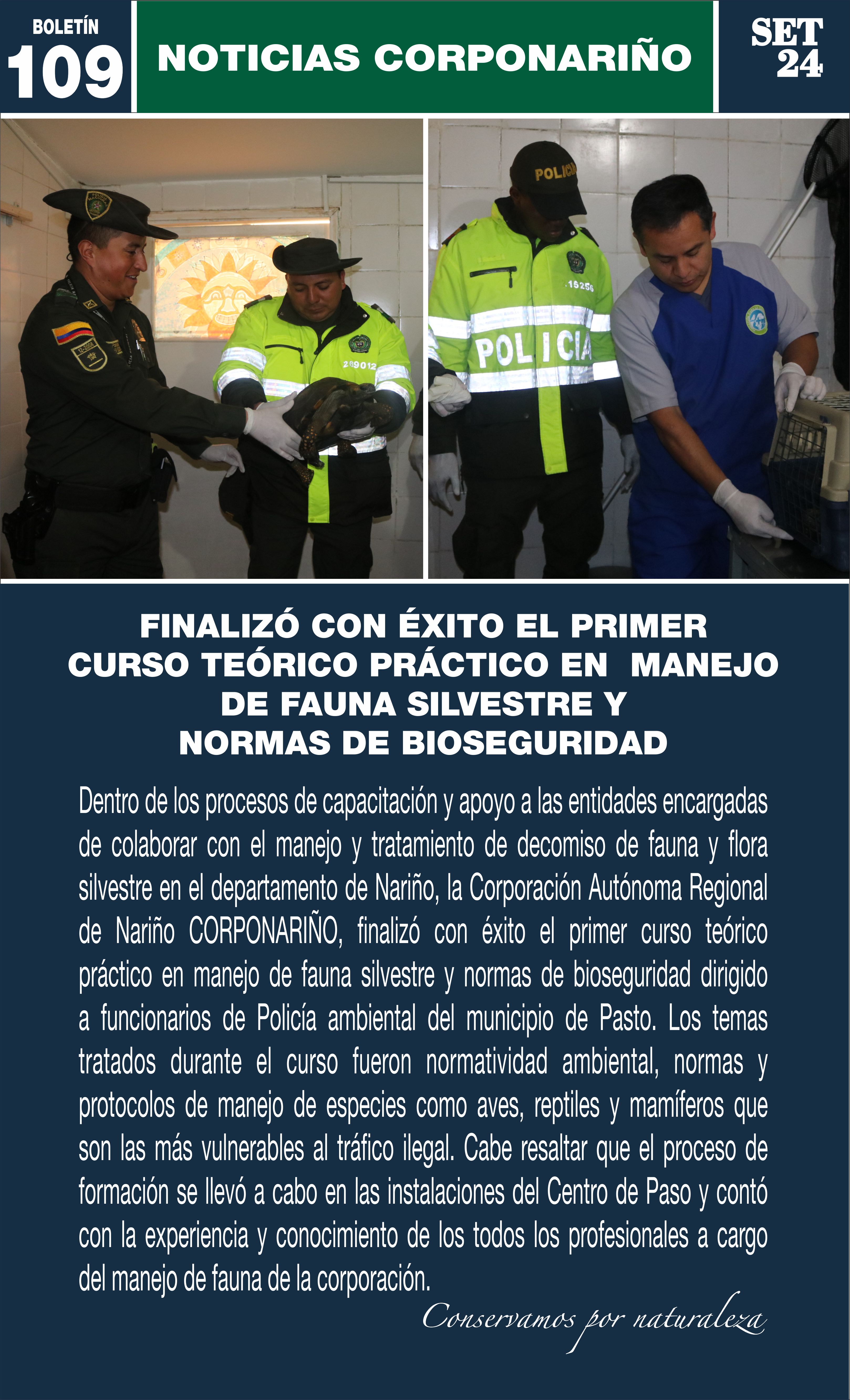 Boletín 109