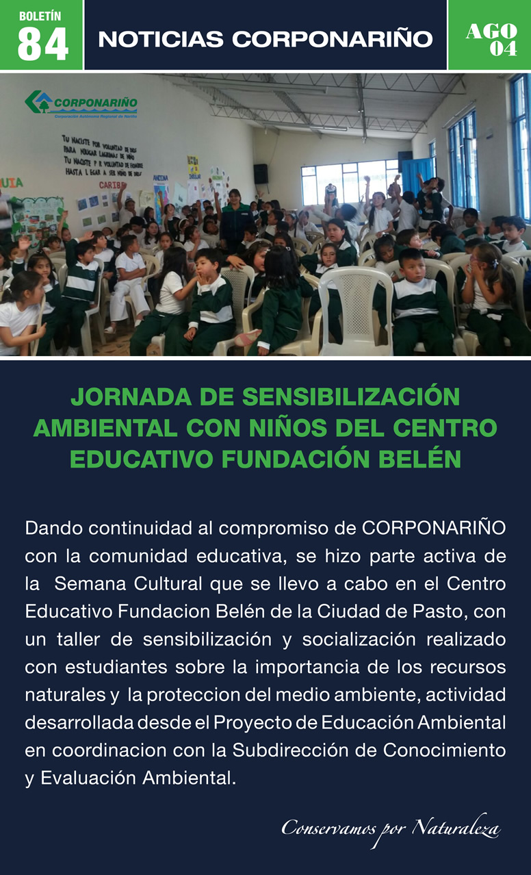 Boletín 84