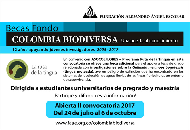 CONVOCATORIA