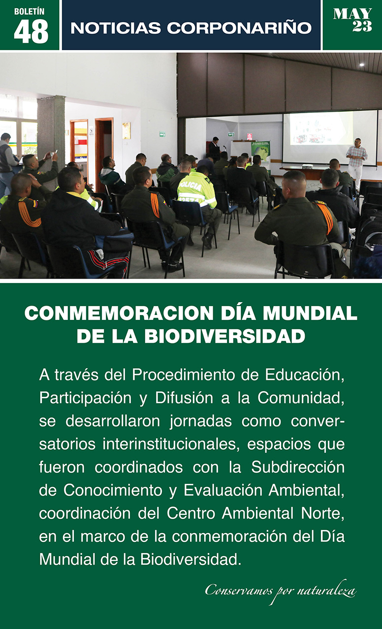 Boletín 49