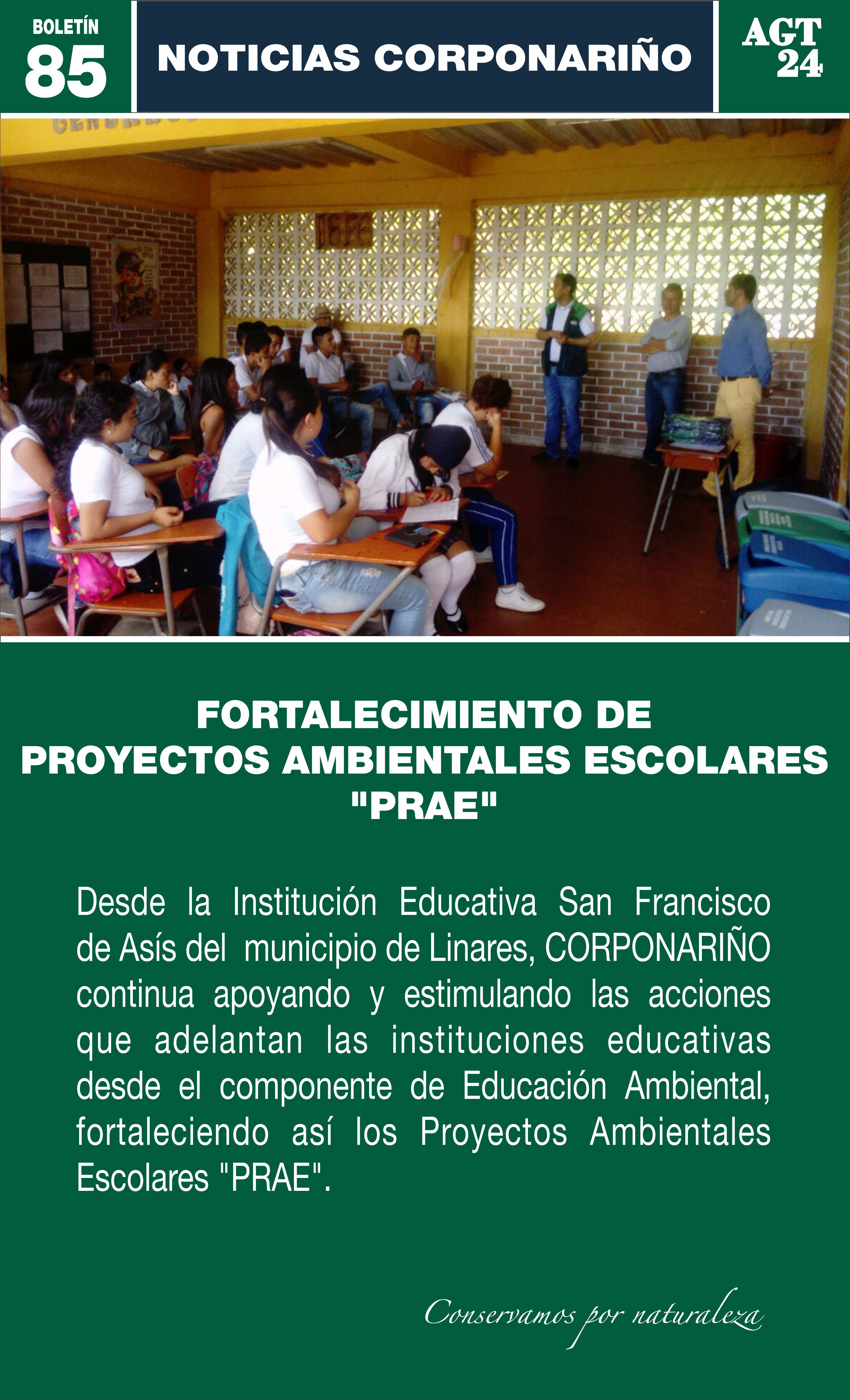 Boletín 85