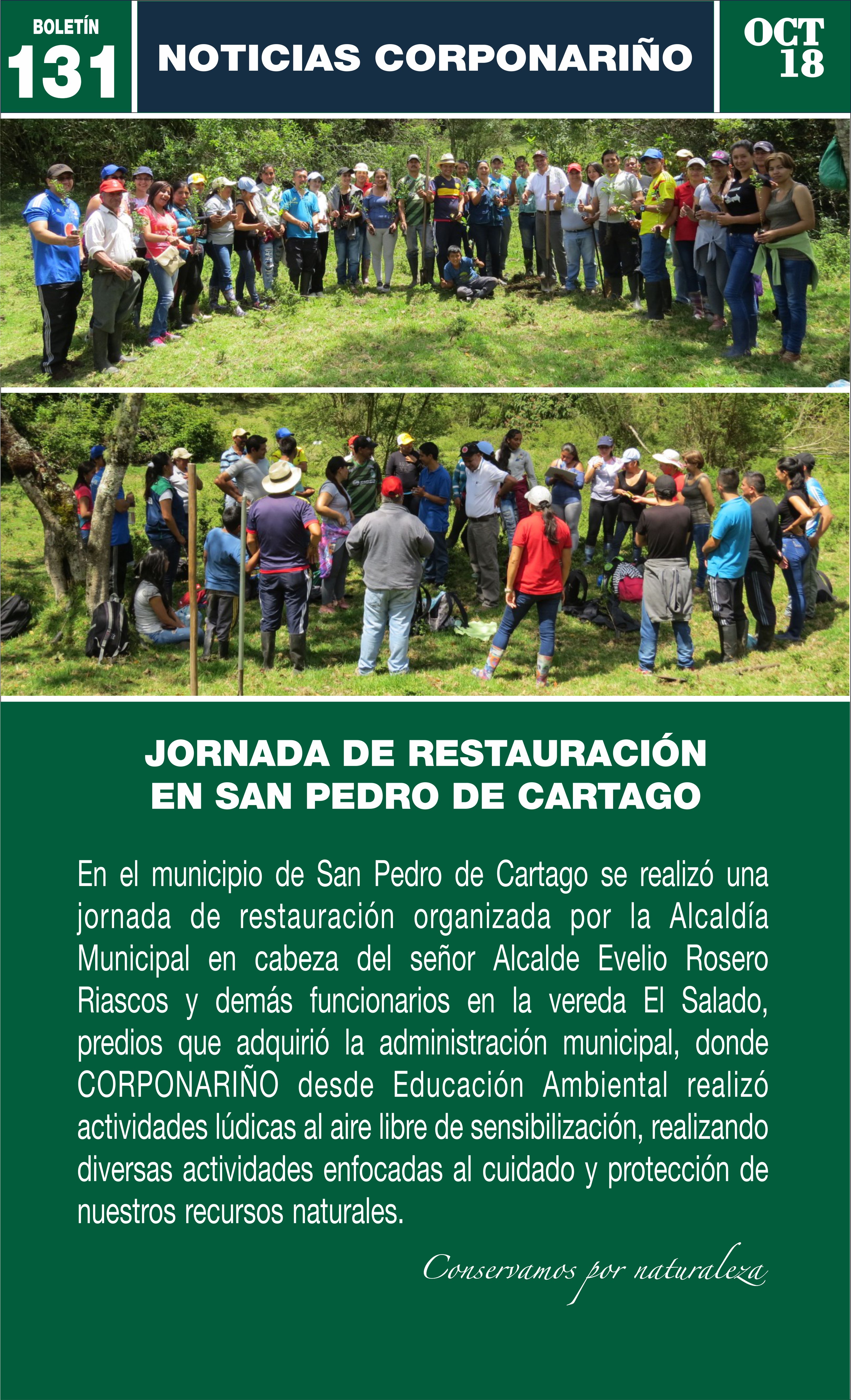 Boletín 131