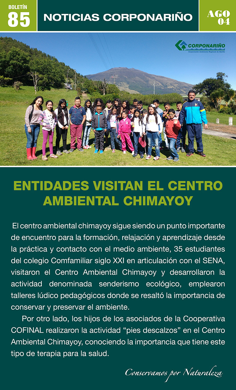 Boletín 85