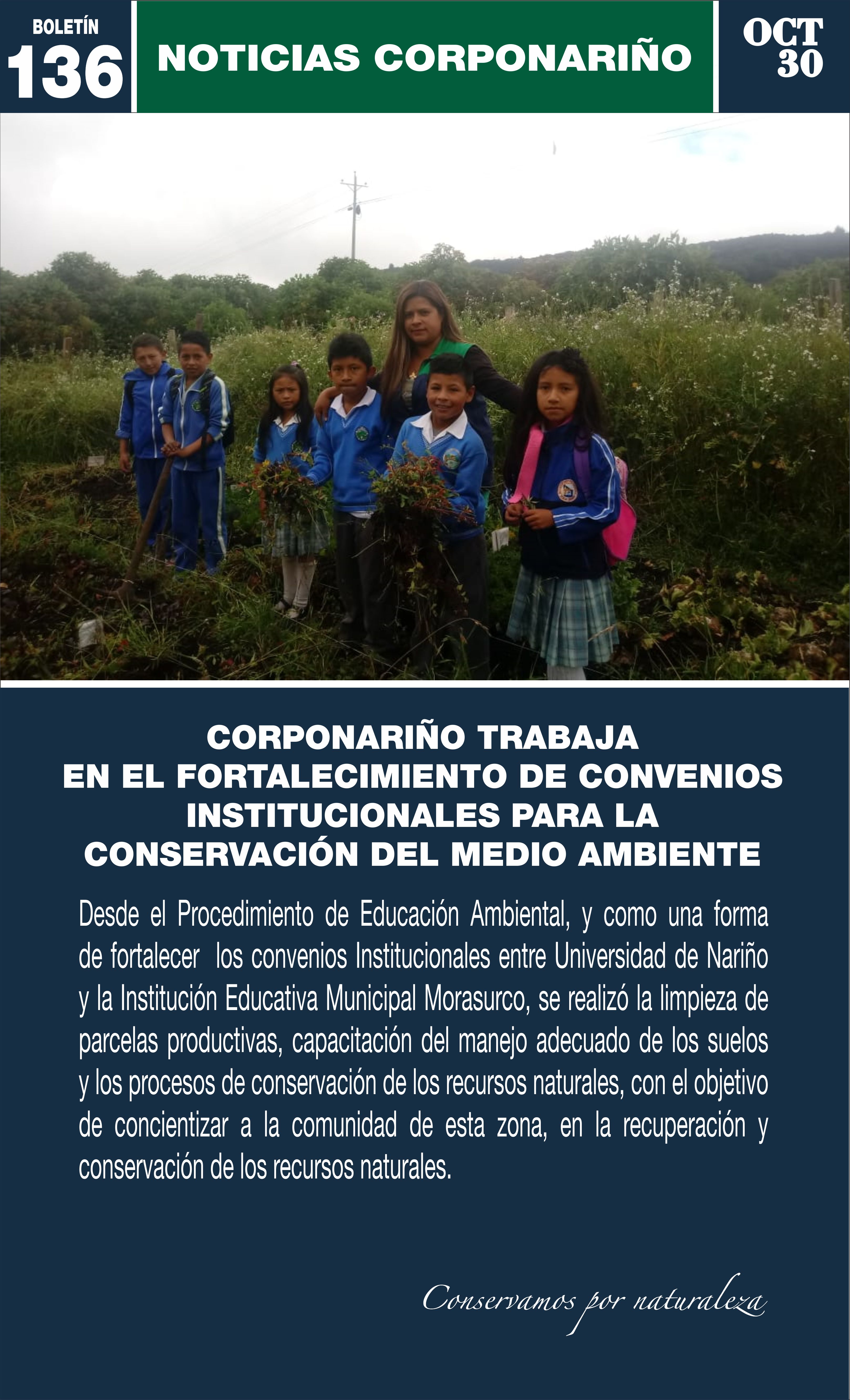 Boletín 136