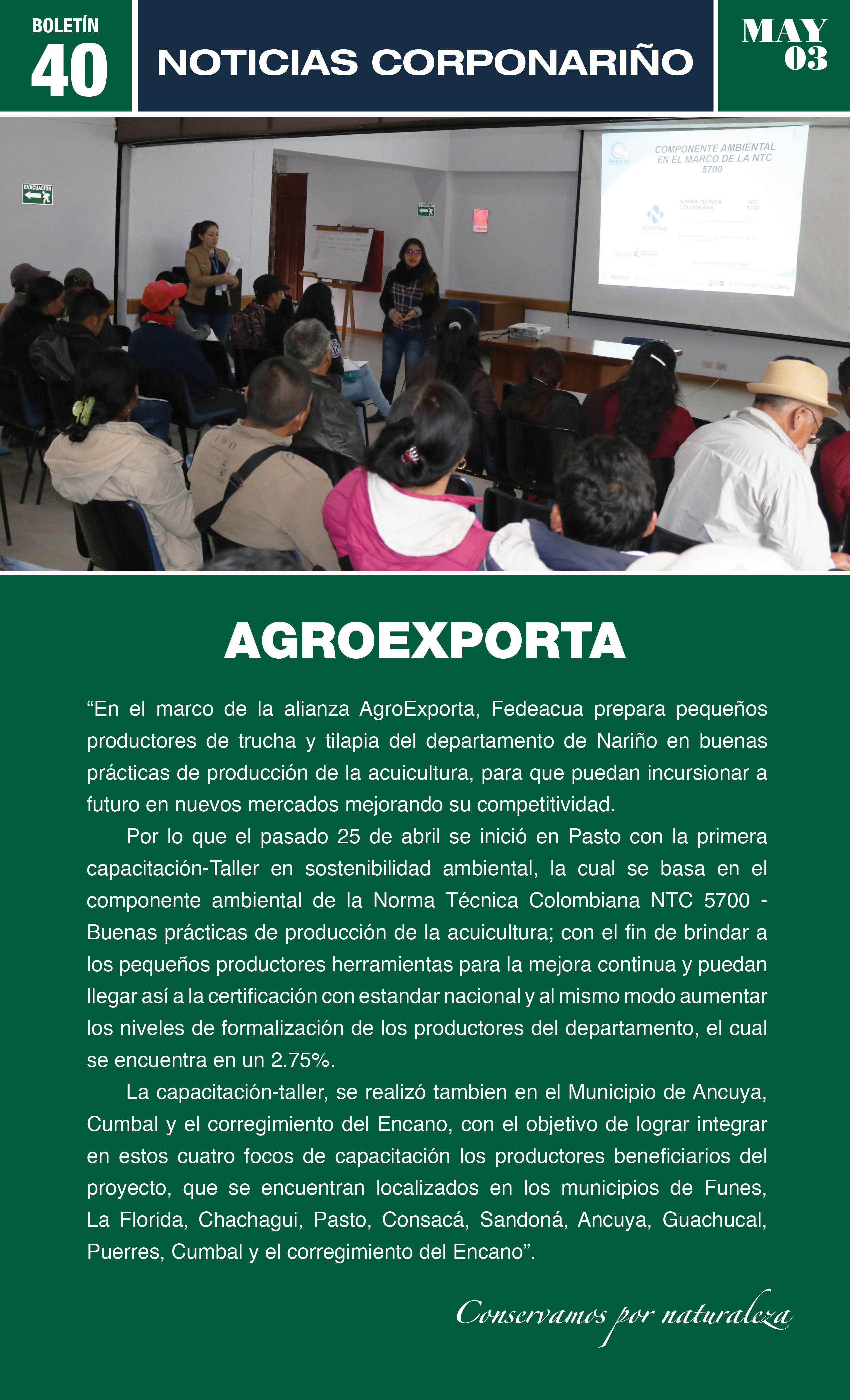 Boletín40