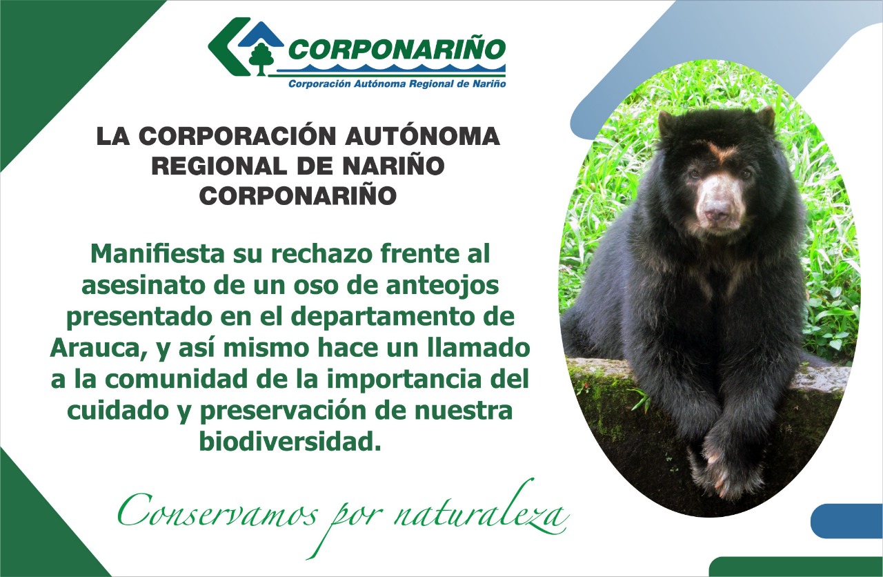 Preservación oso de anteojos