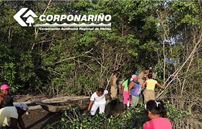 Boletín 77 IMPLEMENTACIÓN DE ACCIONES QUE CONTRIBUYAN A LA REHABILITACIÓN ECOLÓGICA DE ÁREAS AFECTADAS POR HIDROCARBUROS EN ZONA COSTERA Y PIDE DE MONTE DEL DEPARTAMENTO DE NARIÑO