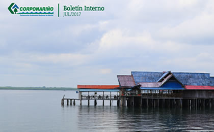Boletín INTERNO JULIO