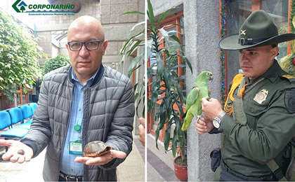 ENTREGA VOLUNTARIA DE ESPECIES