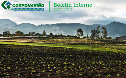 Boletín INTERNO OCTUBRE