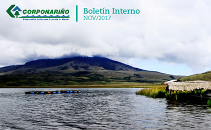Boletín INTERNO NOVIEMBRE