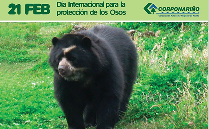 DÍA INTERNACIONAL PARA LA PROTECCIÓN DE LOS OSOS