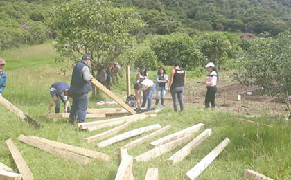 RECUPERACIÓN HERBARIO