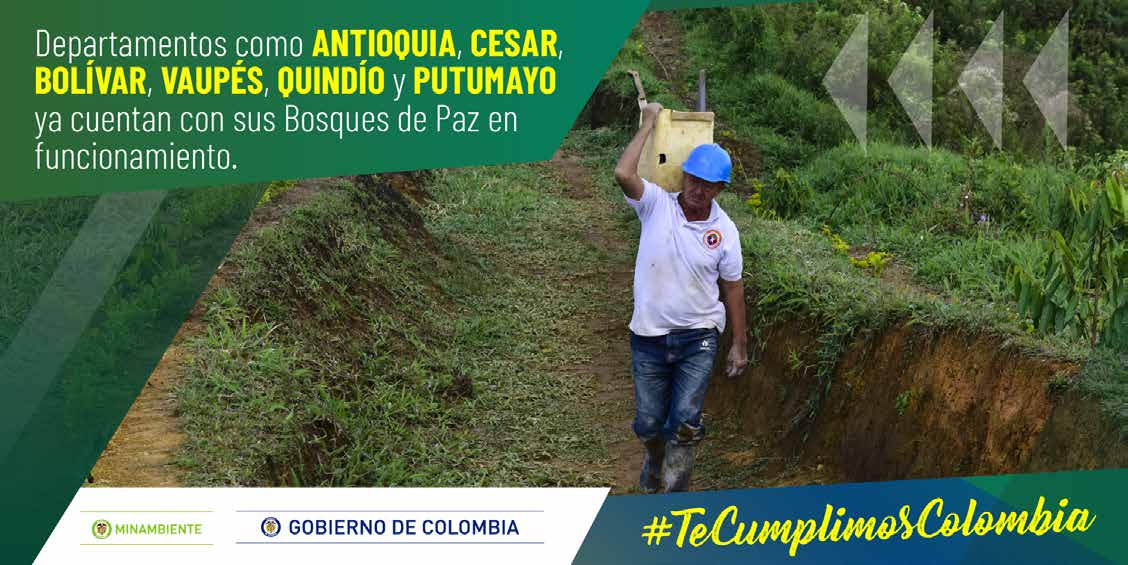 MINAMBIENTE Bosques de Paz