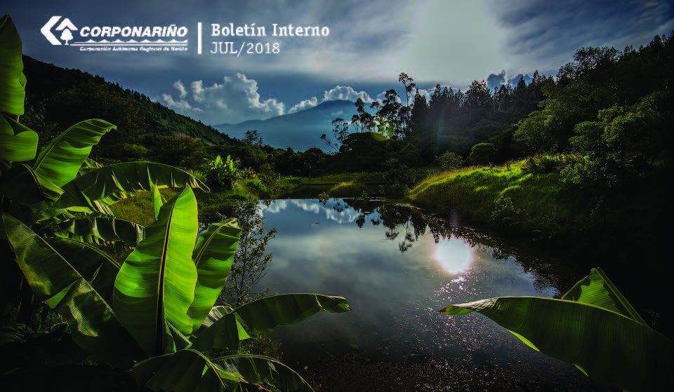 Boletín INTERNO JULIO 2018