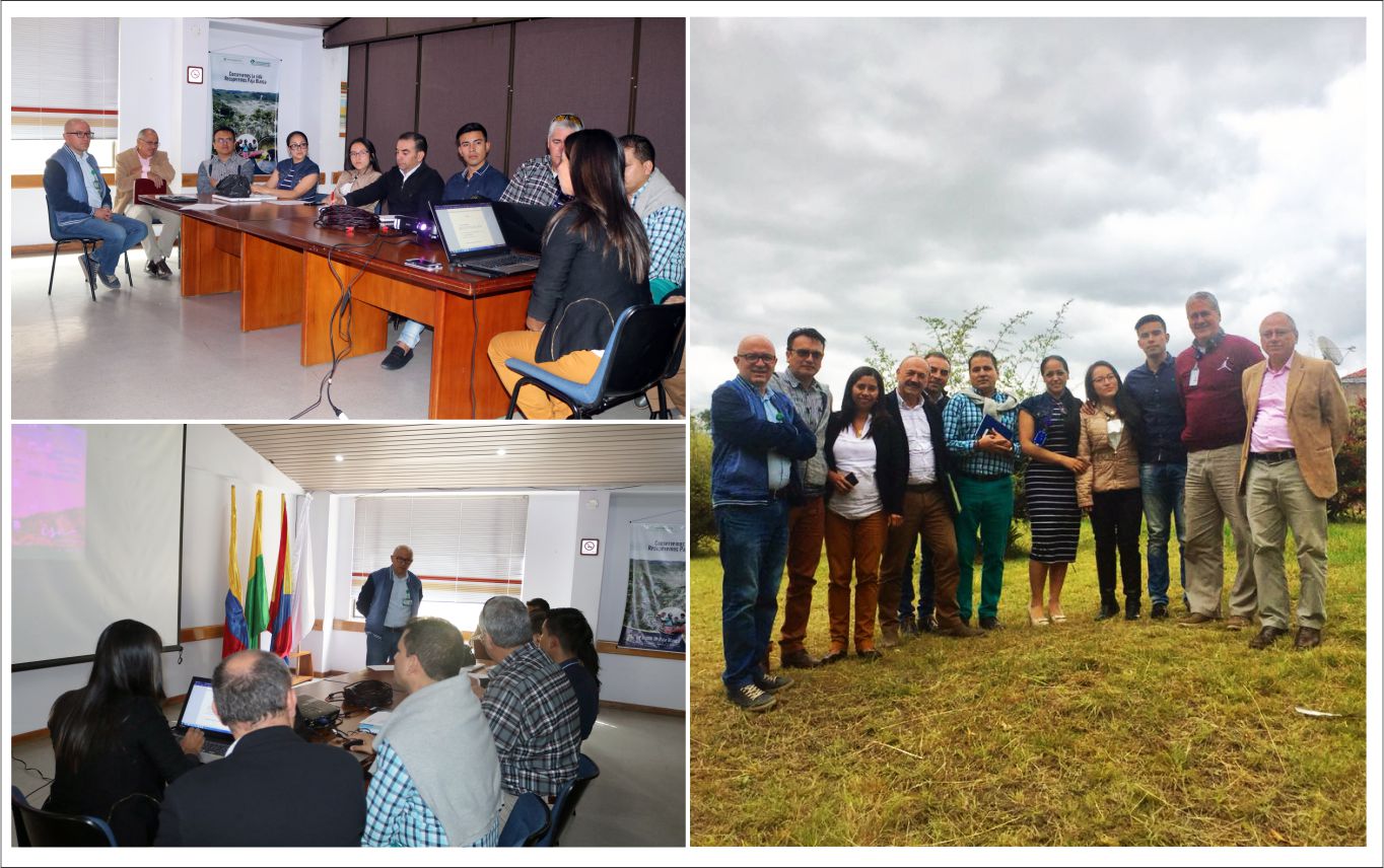 PROYECTO INTERCONEXIÓN Cauca – Nariño