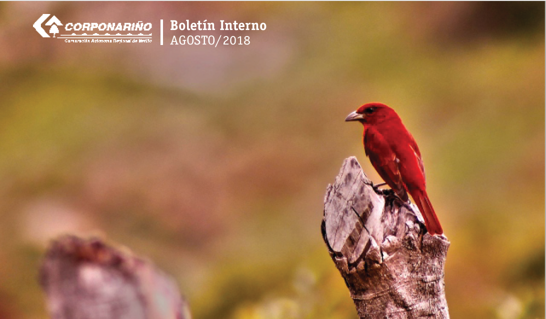 Boletín INTERNO AGOSTO 2018