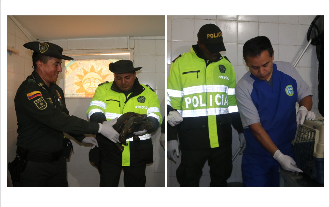 FINZALIZACIÓN Éxito del Primer Curso Teórico Práctico en Manejo de Fauna Silvestre y Normas de Bioseguridad