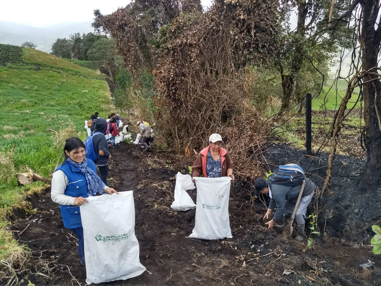 CORPONARIÑO Acompaña la Actividad “Siembra Vida, Siembra Paz”