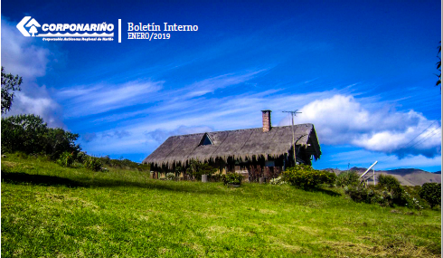 BOLETÍN Interno Enero 2019