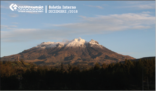 BOLETÍN Interno Diciembre 2018