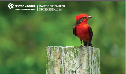 BOLETÍN Trimestral Diciembre 2018