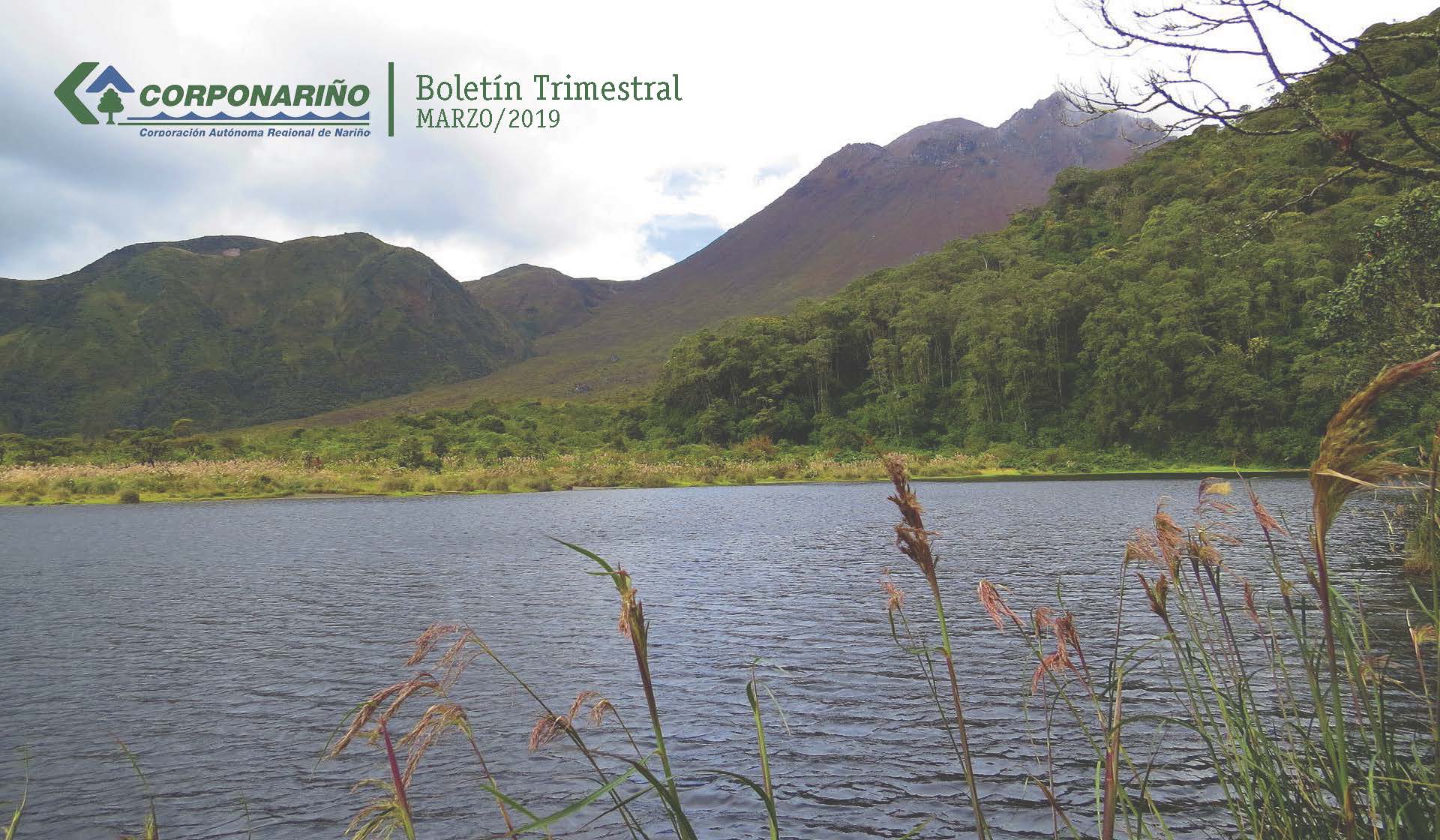 BOLETÍN Trimestral Marzo 2019