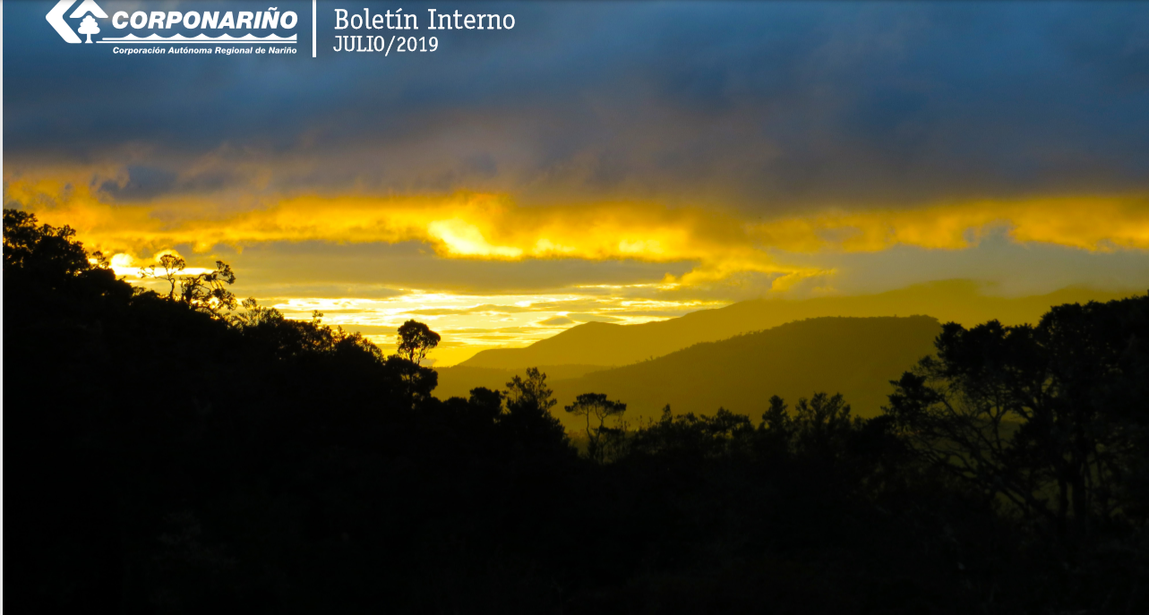 BOLETÍN Boletin Interno Julio